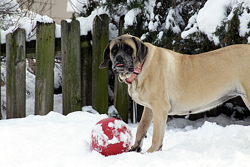 lexi - ID: 13728759 © Jody A. Hatley