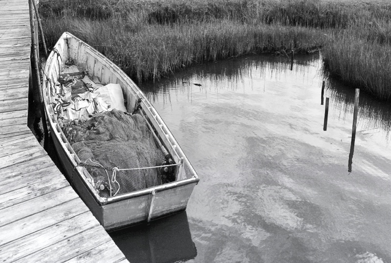 Boat with Nets