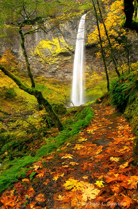 Elowah Autumn Trail