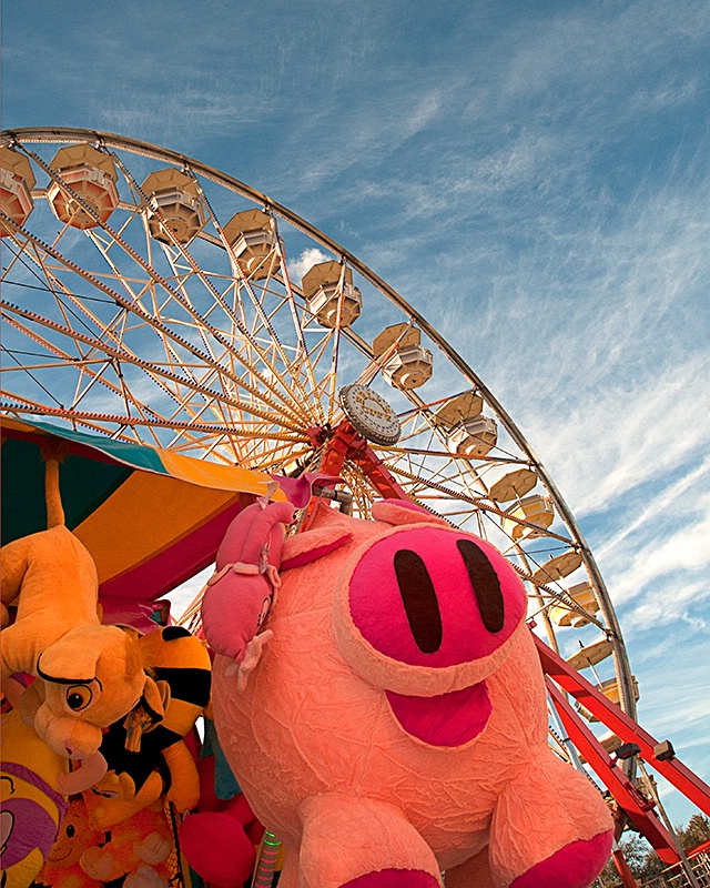Pigs, and Puppies, and Ferris Wheels, Oh My!