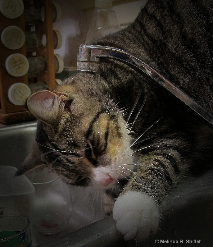 Bath Time Fun I