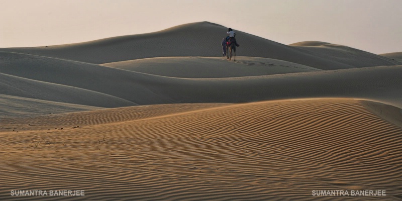 thar desert  rajasthan  