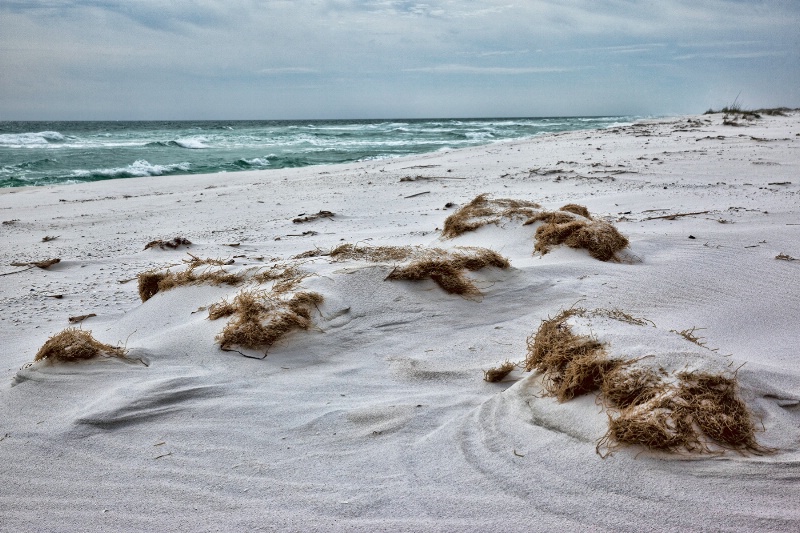 Starter Dunes