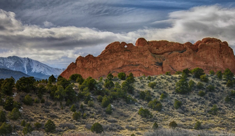 Kissing Camels