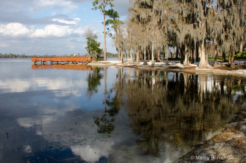 Reflections