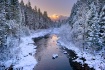 A Winter Scene