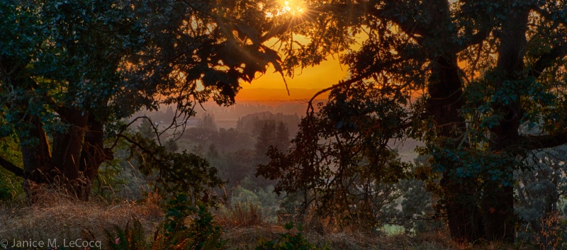 Sunset Over the Valley