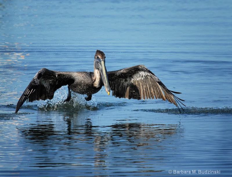 Taking-Off