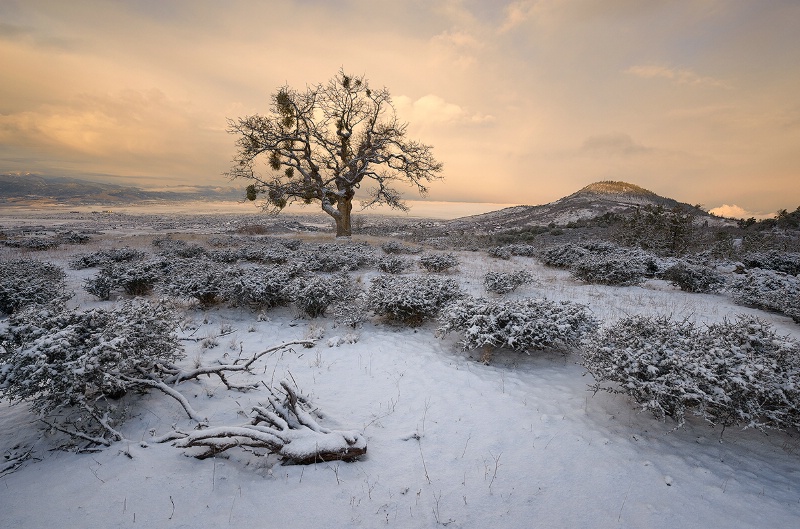 Rogue Valley Dusting