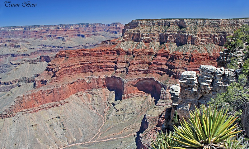 Colours & Textures of Grand Canyon.