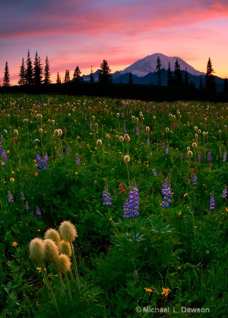 Alpine Garden