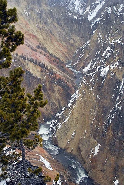 Yellowstone Grand Canyon in Snow