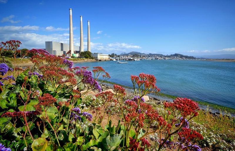 Morro Bay California