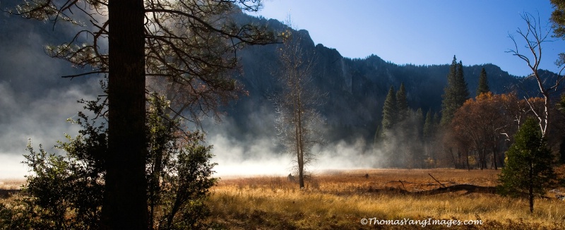 Sentinel Meadows Mist - ID: 13741834 © Hsiao-Tung Yang