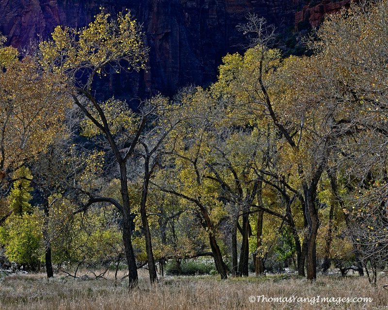 Zion Valley  - ID: 13741869 © Hsiao-Tung Yang