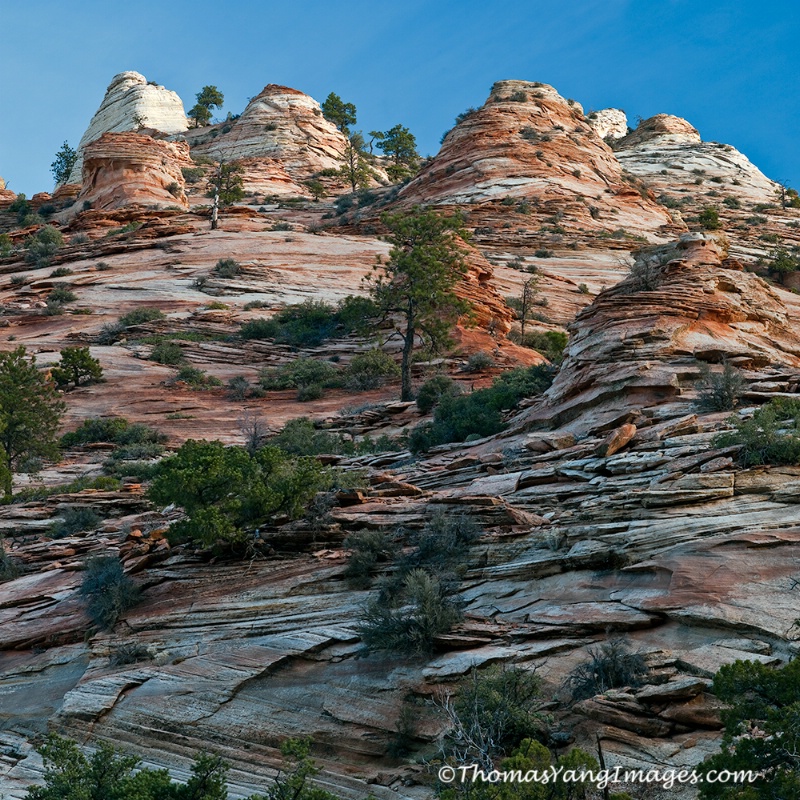 Zion Mt., Camel Highway - ID: 13741871 © Hsiao-Tung Yang