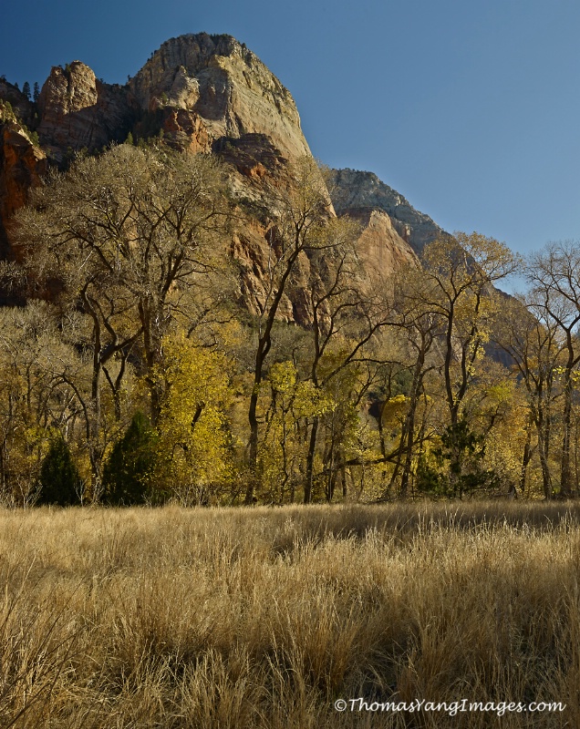 Zion Valley - ID: 13741885 © Hsiao-Tung Yang