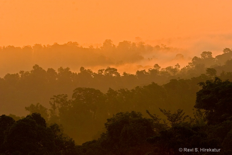 Western Ghats at dawn - ID: 13743997 © Ravi S. Hirekatur