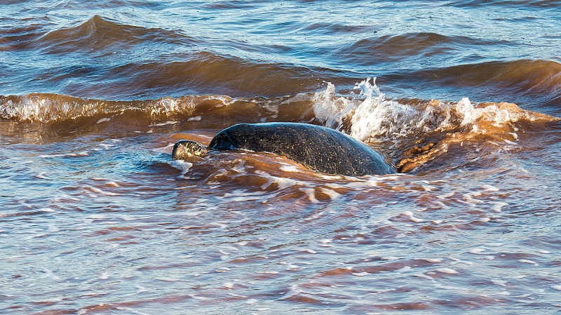 img 1120-GALAPAGOS ISLANDS-ECUADOR - ID: 13744897 © James E. Nelson