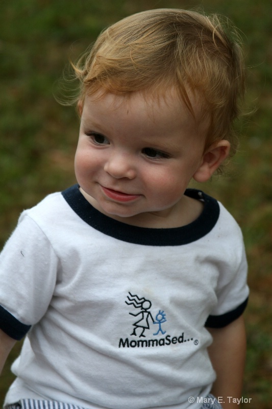 Momma Sed Toddler T-shirt - Front - ID: 13745132 © Mary E. Taylor