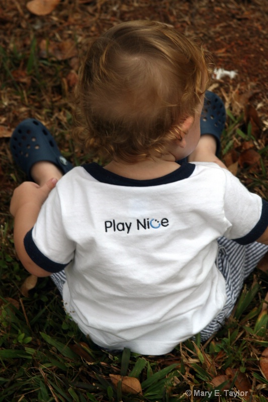 Momma Sed Toddler T-Shirt - Play Nice - ID: 13745133 © Mary E. Taylor