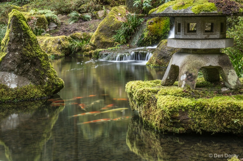 Japanese Gardens #2