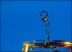 Water Alien