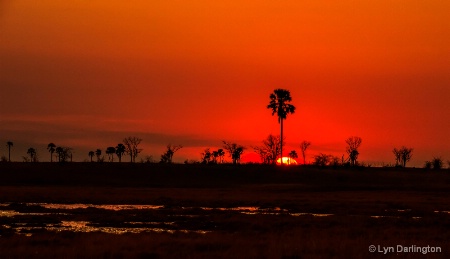 Botswana sunset.