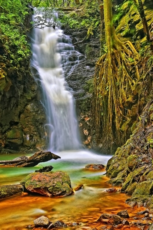 Lost Falls in Monteverde