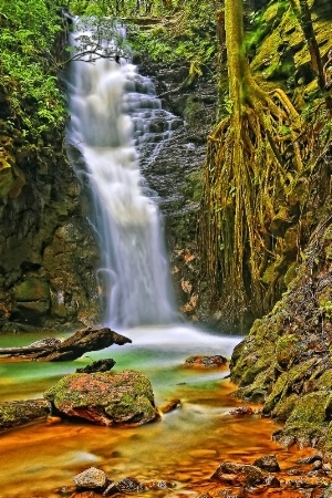 Lost Falls in Monteverde