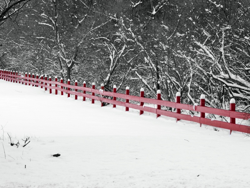 Red Fence