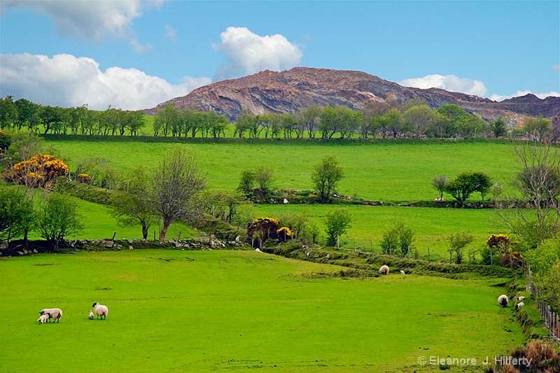 Beautiful Donegal - ID: 13758072 © Eleanore J. Hilferty