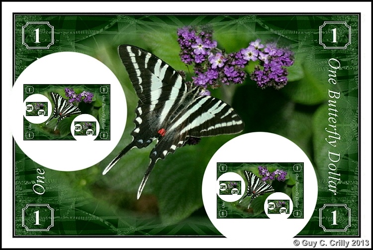 Droste One Butterfly Dollar