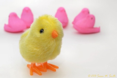 Me and My Peeps
