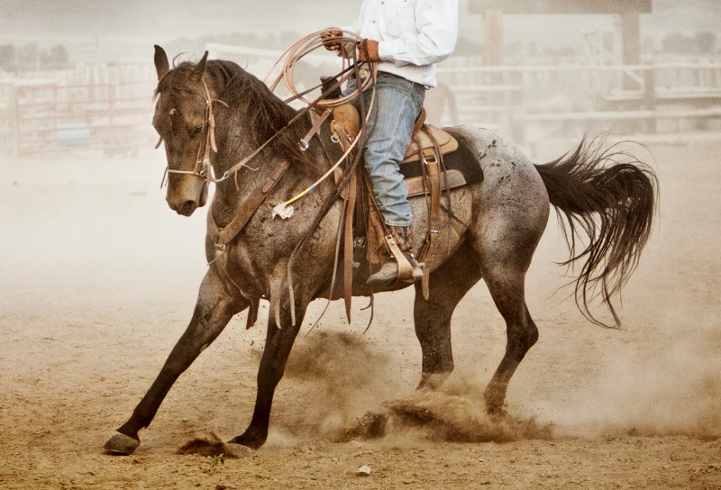 Dusty Roping Practice