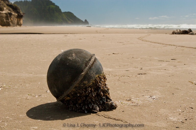 Beached Buoy