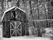 Winter Storms -Ne...