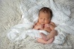 Newborn