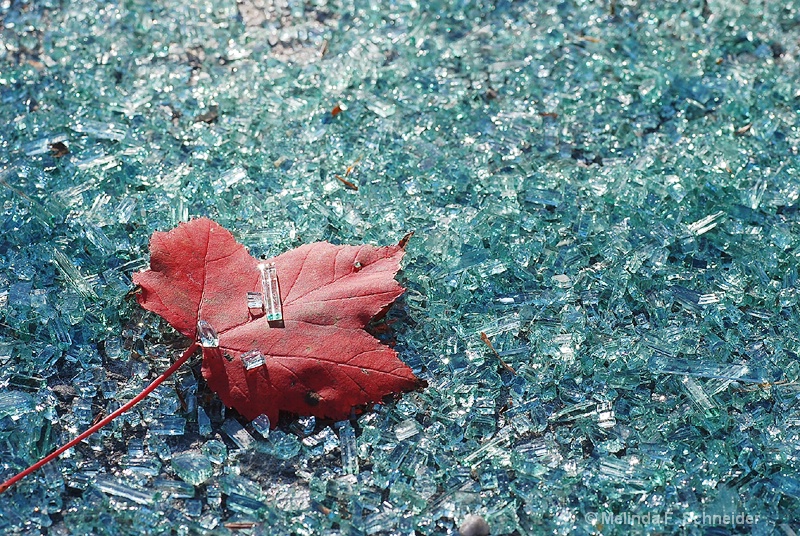 img20