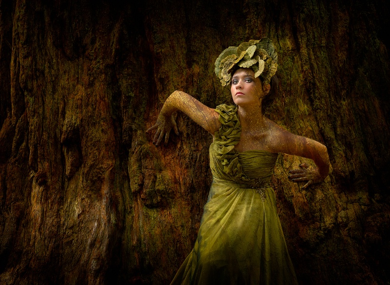 Princess of the Redwoods