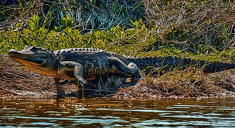 MT~Jumping Gator