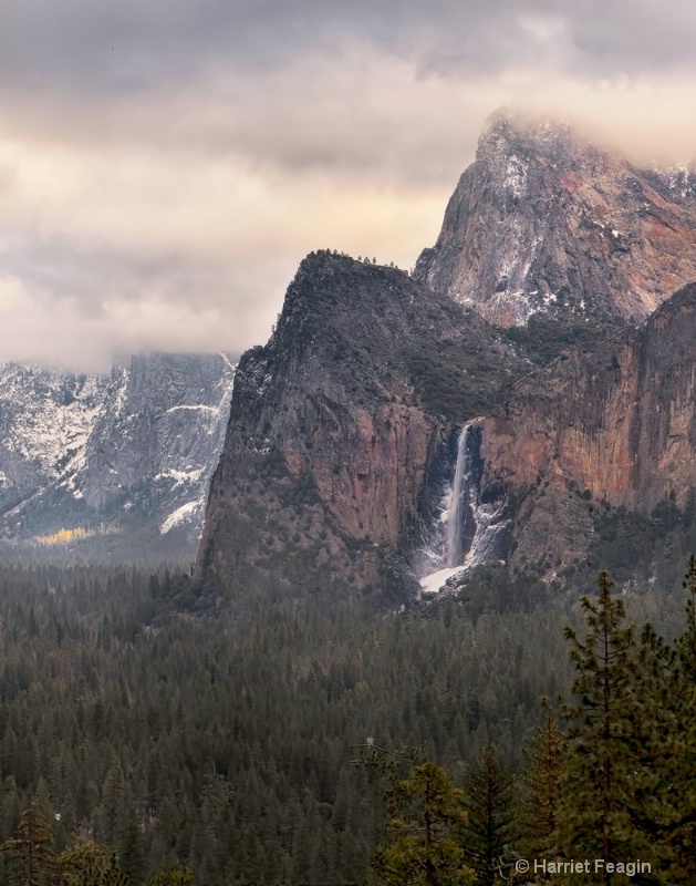  mg 2424 Yosemite Valley Vertical 