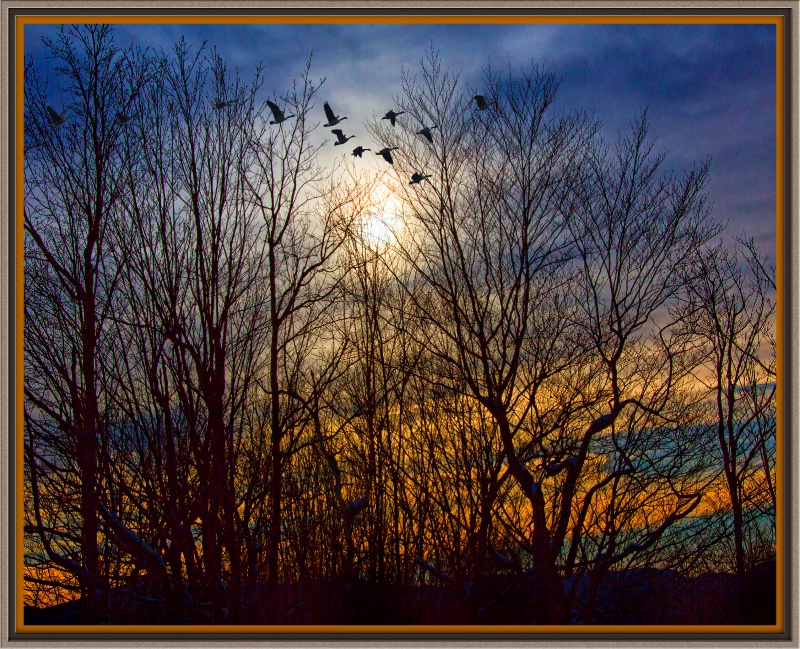 Winter Sunset - ID: 13773955 © BARBARA TURNER