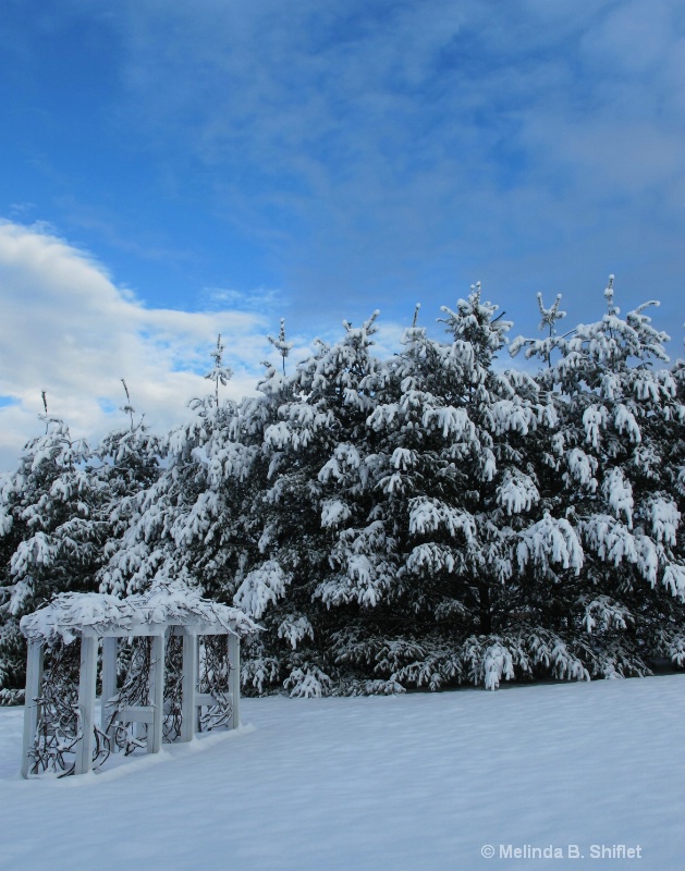 Spring Snowstorm I