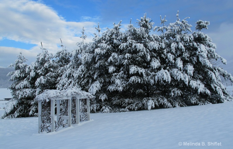 Spring Snowstorm II