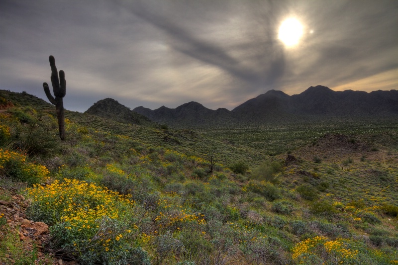 Dusk across the Desert