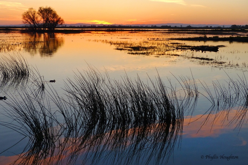 San Joaquin River Delta