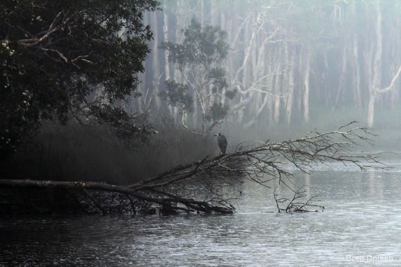 Foggy Morning at the Perch Hole