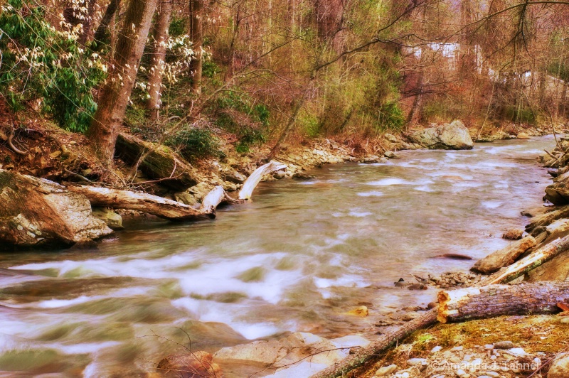 Mountain Stream