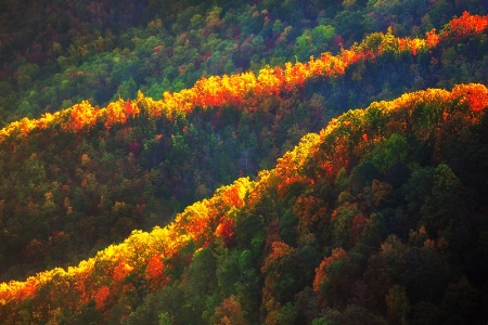 Two Ridges in Autumn